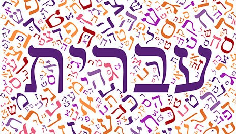 Hebrew Slang Words You Must Know